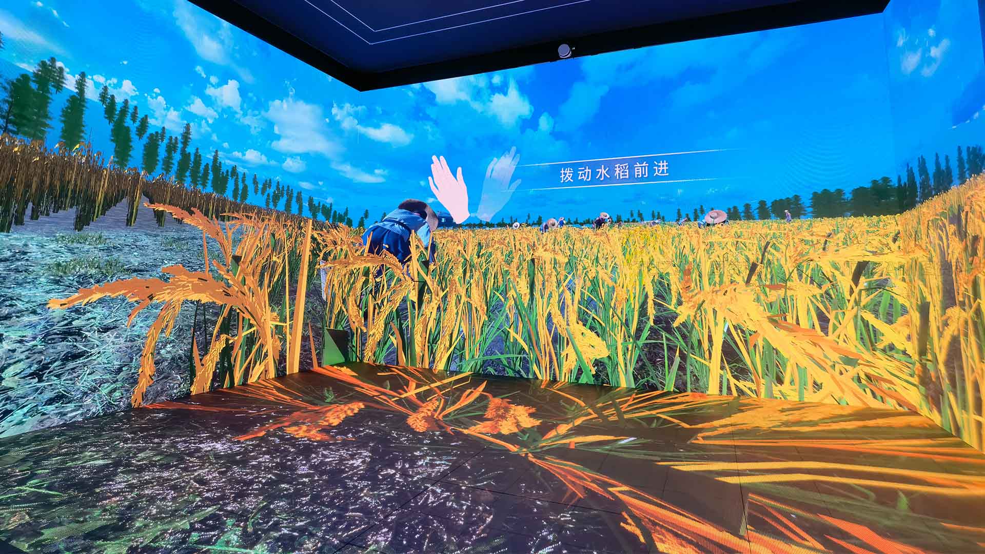 阳江农业科技多媒体展厅